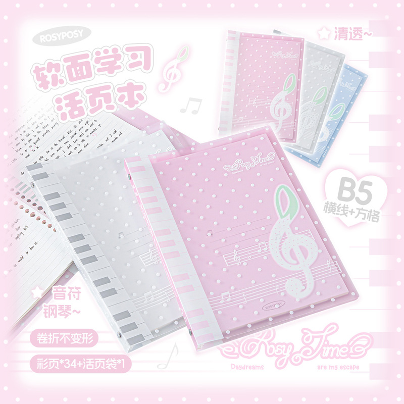 Rosyposy Melody Losbladig noti - Blank Sheet Music Notebook recensie en prijs